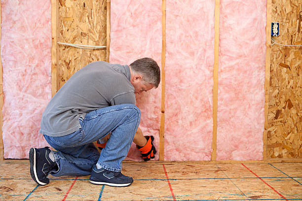 Best Spray Foam Insulation  in Ainaloa, HI